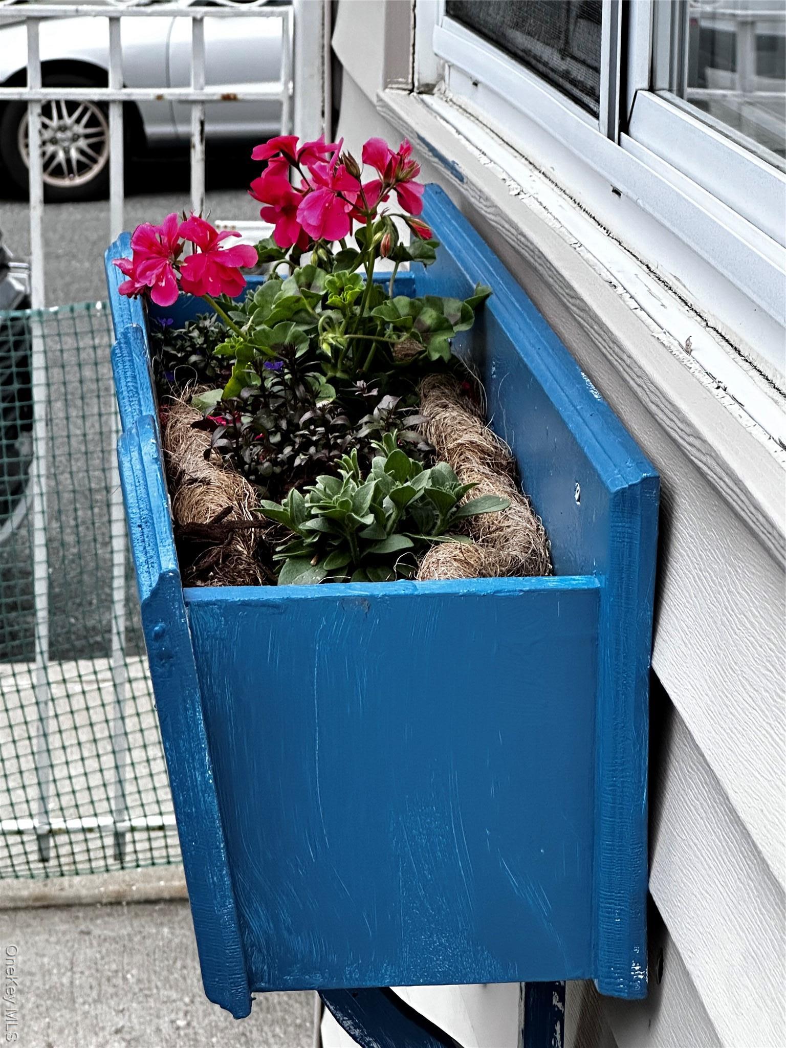 Coop Alden  Bronx, NY 10465, MLS-976867-4