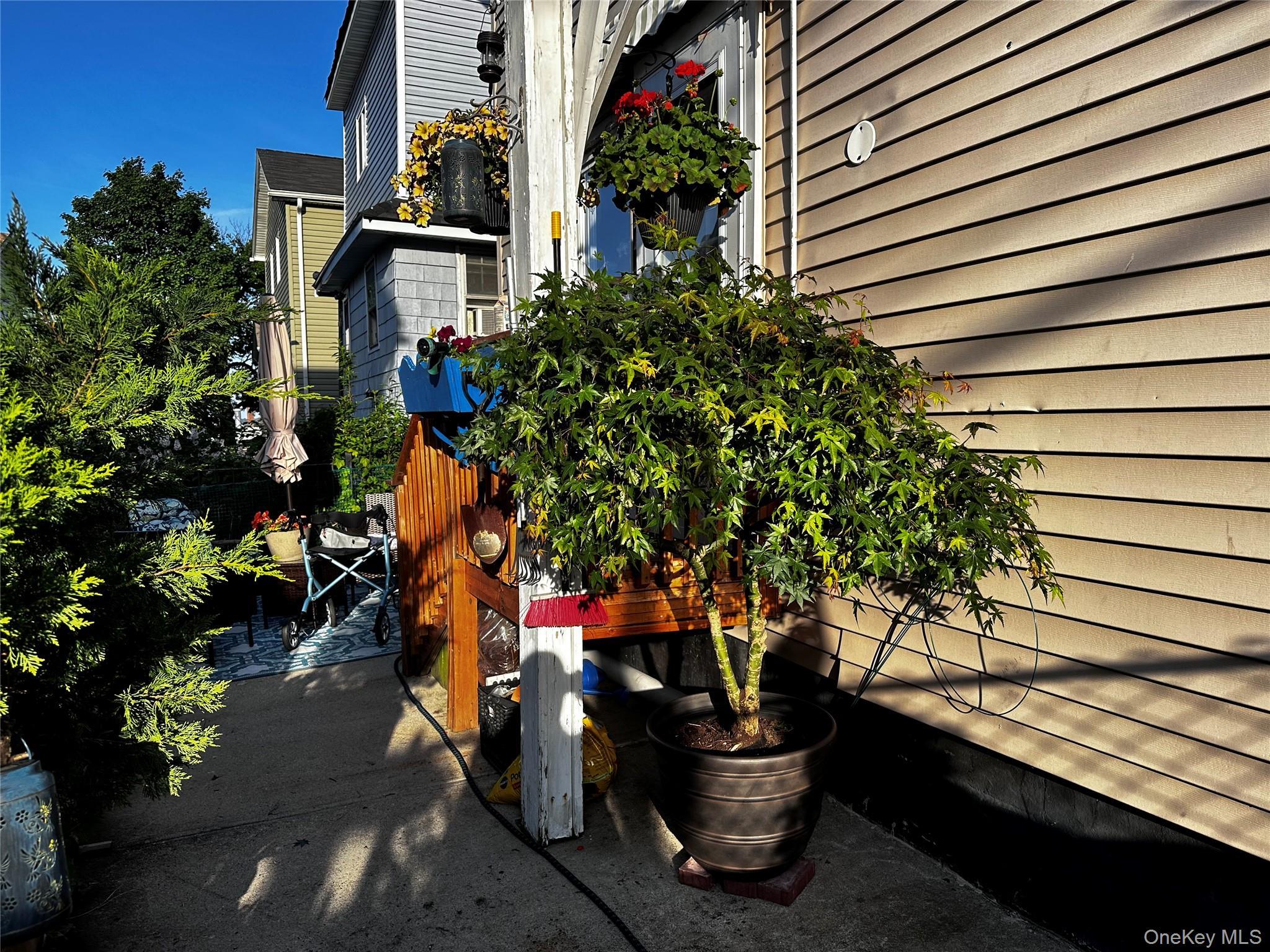 Coop Alden  Bronx, NY 10465, MLS-976867-5