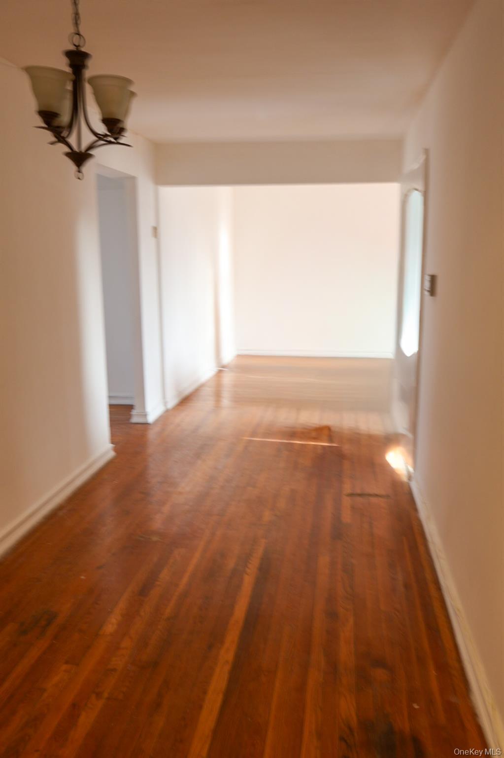 Coop 108th Queens, NY 11375, MLS-976961-7