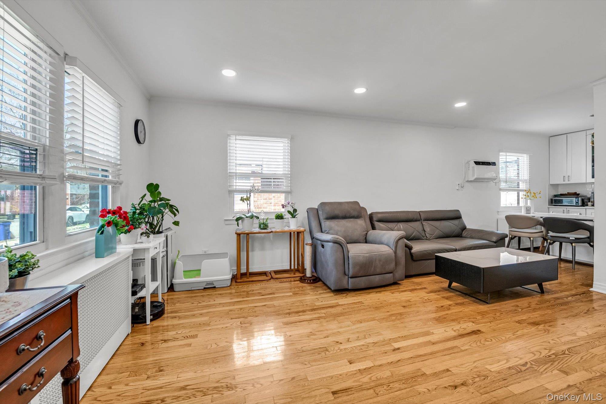 Single Family 251st  Queens, NY 11426, MLS-976984-2