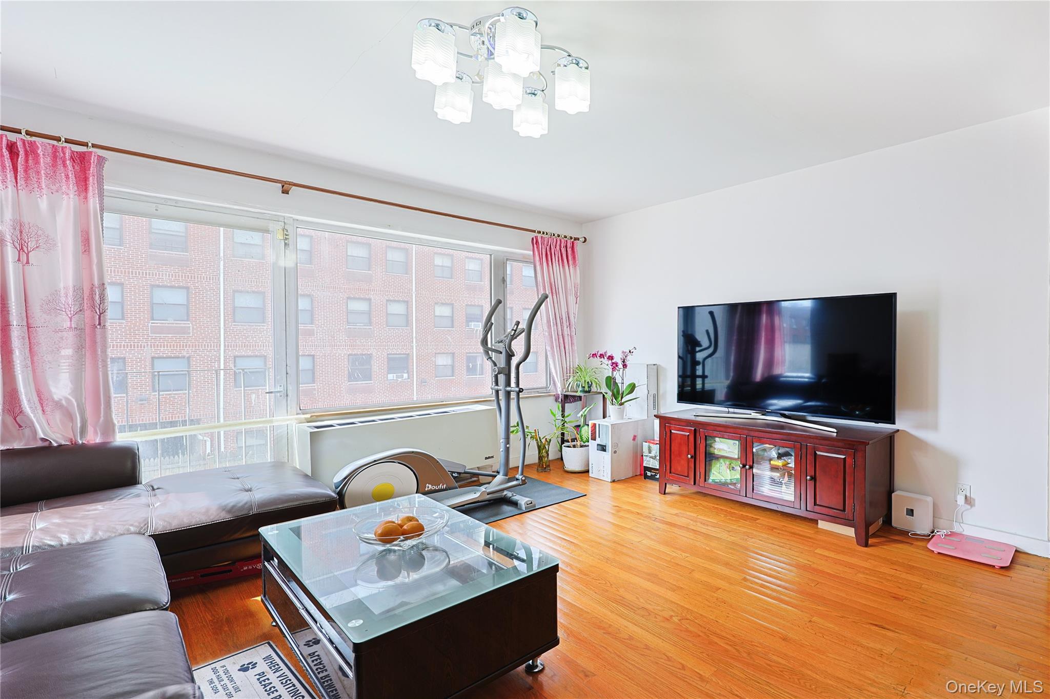 Condo 163rd  Queens, NY 11365, MLS-977007-3