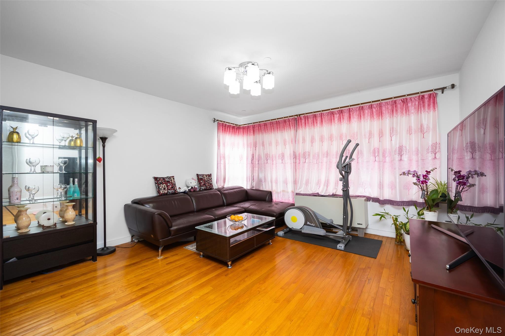 Condo 163rd  Queens, NY 11365, MLS-977007-5