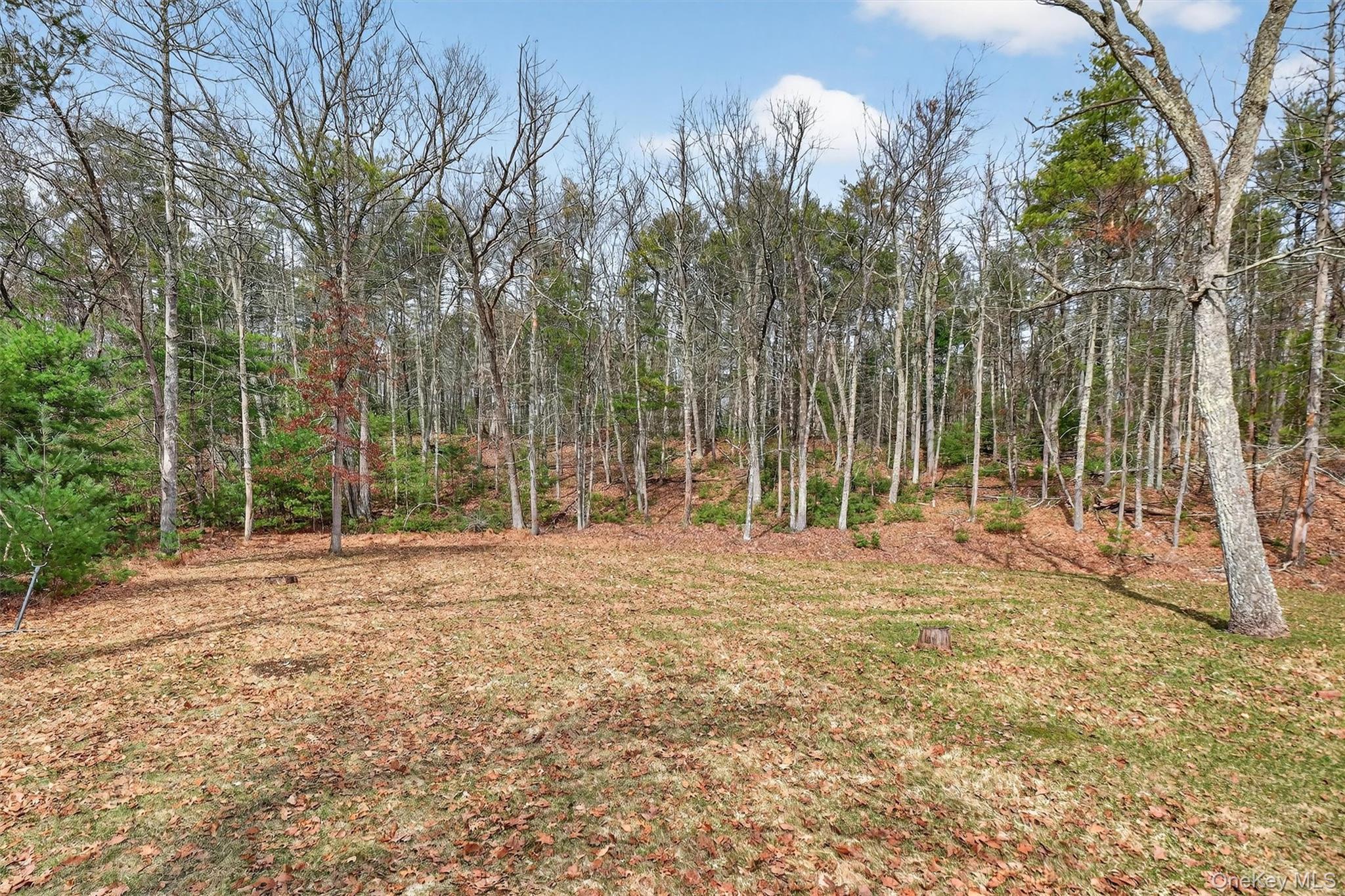 Single Family Morgan Hill  Ulster County, NY 12443, MLS-977040-36