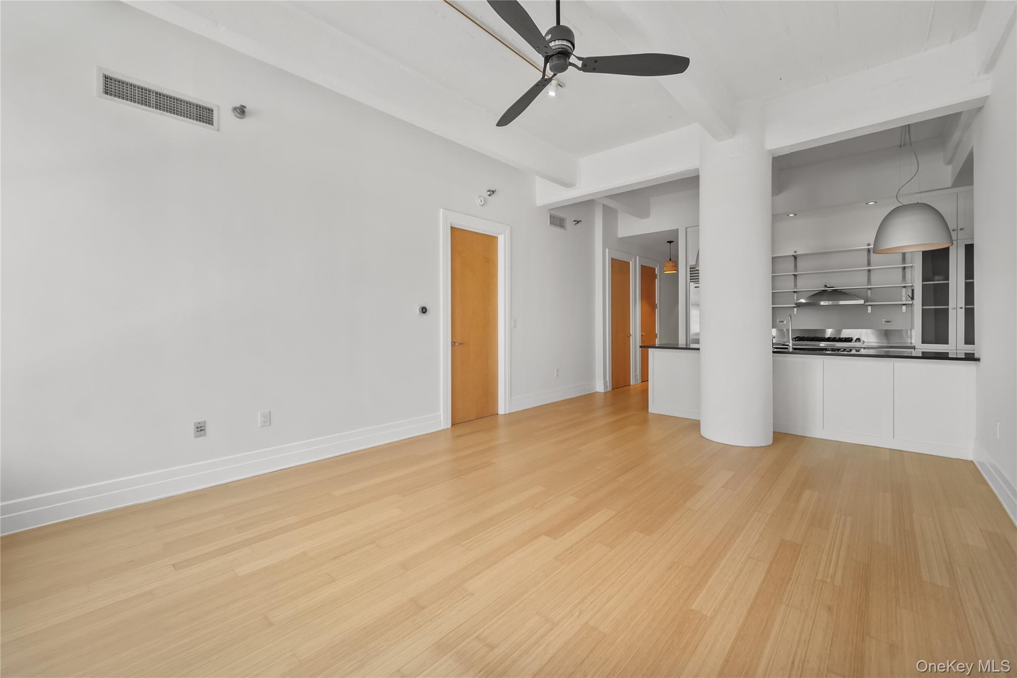 Condo Washington  Brooklyn, NY 11201, MLS-977057-10