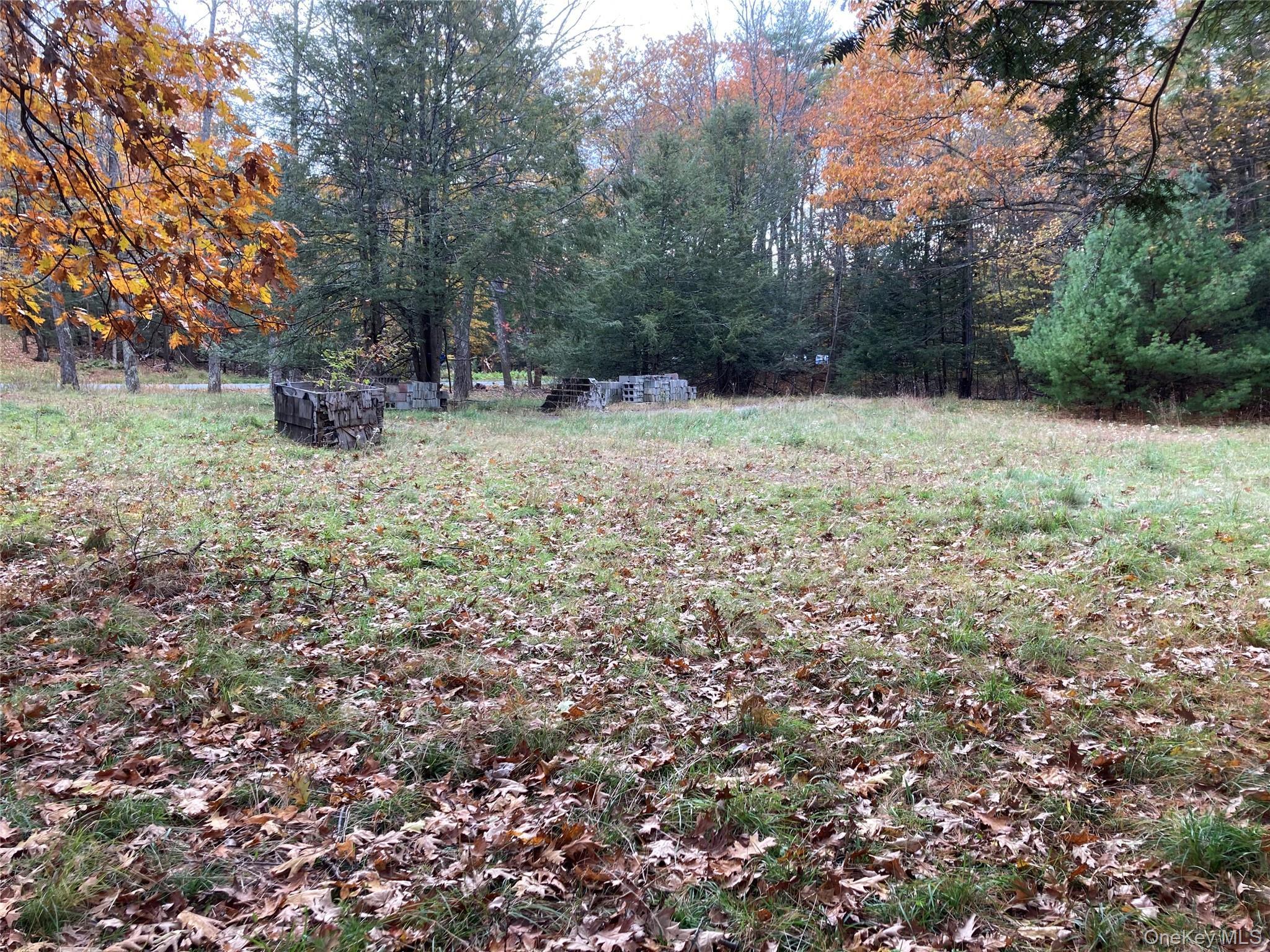 Single Family Rock Hill  Sullivan County, NY 12775, MLS-977086-4