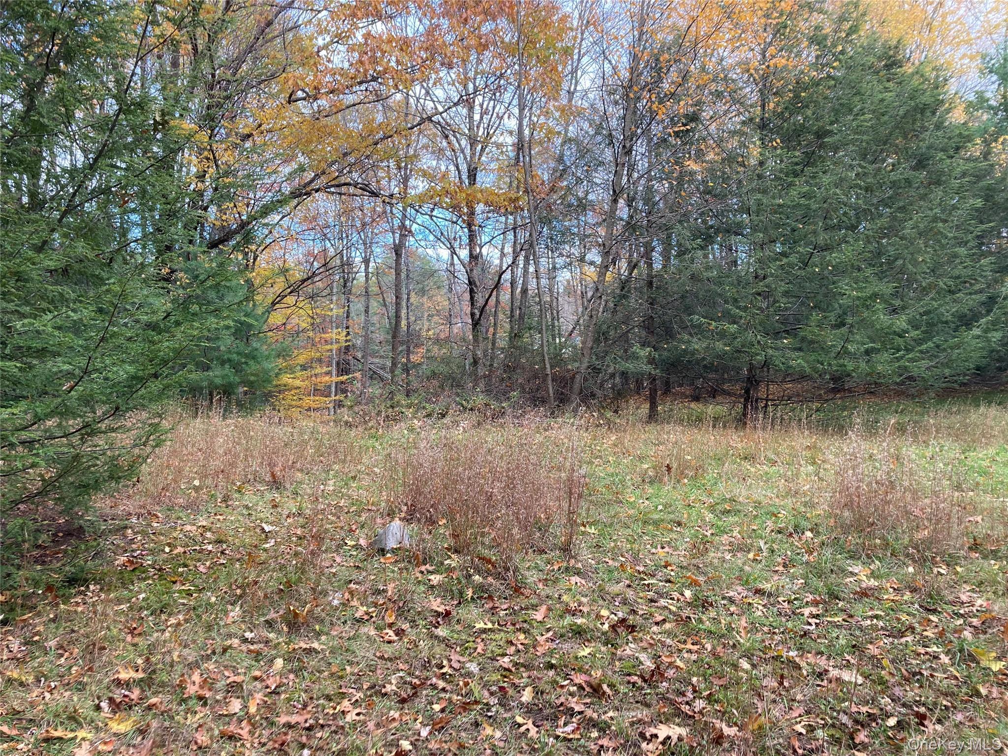 Single Family Rock Hill  Sullivan County, NY 12775, MLS-977086-6