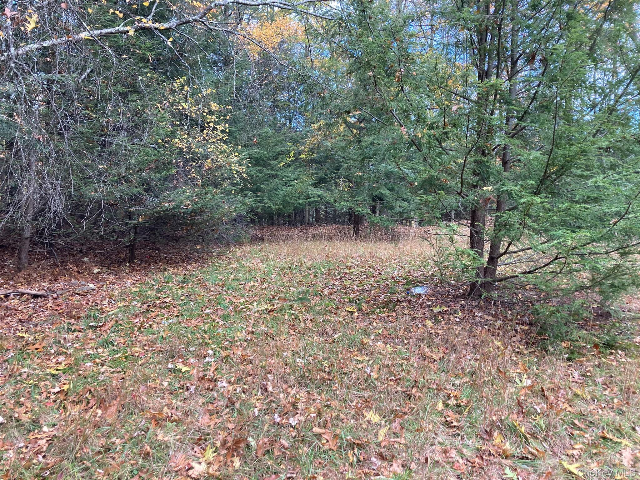 Single Family Rock Hill  Sullivan County, NY 12775, MLS-977086-7