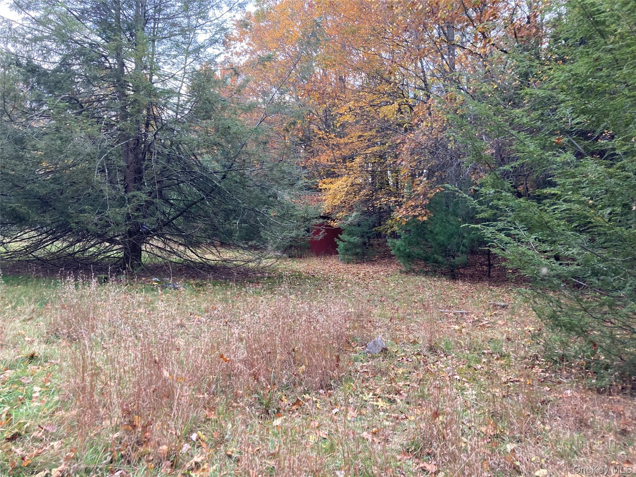 Single Family Rock Hill  Sullivan County, NY 12775, MLS-977086-9