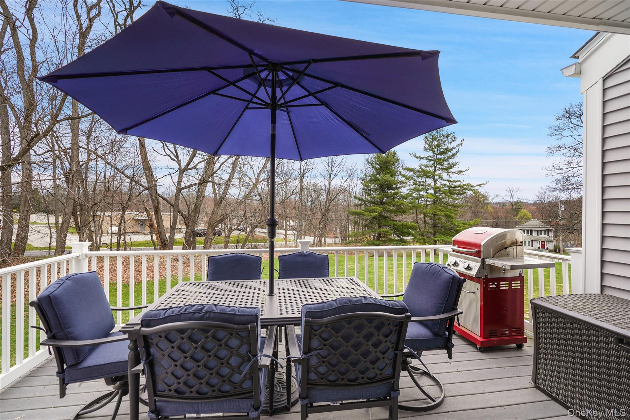 Condo Tudor  Westchester County, NY 10598, MLS-977136-13