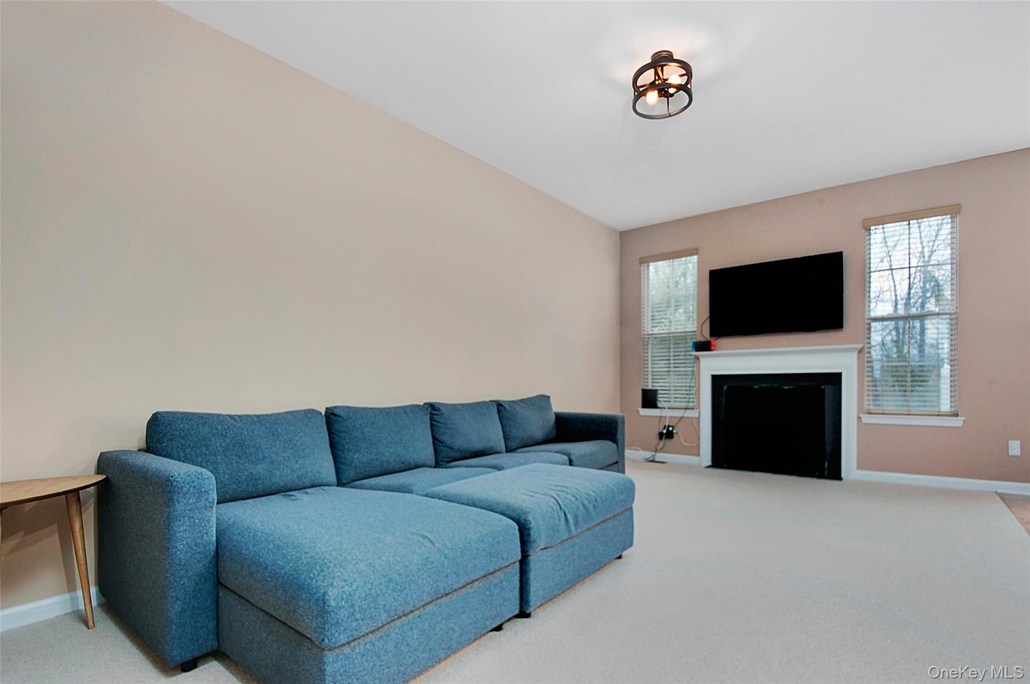 Condo Webster  Orange County, NY 10950, MLS-977154-12