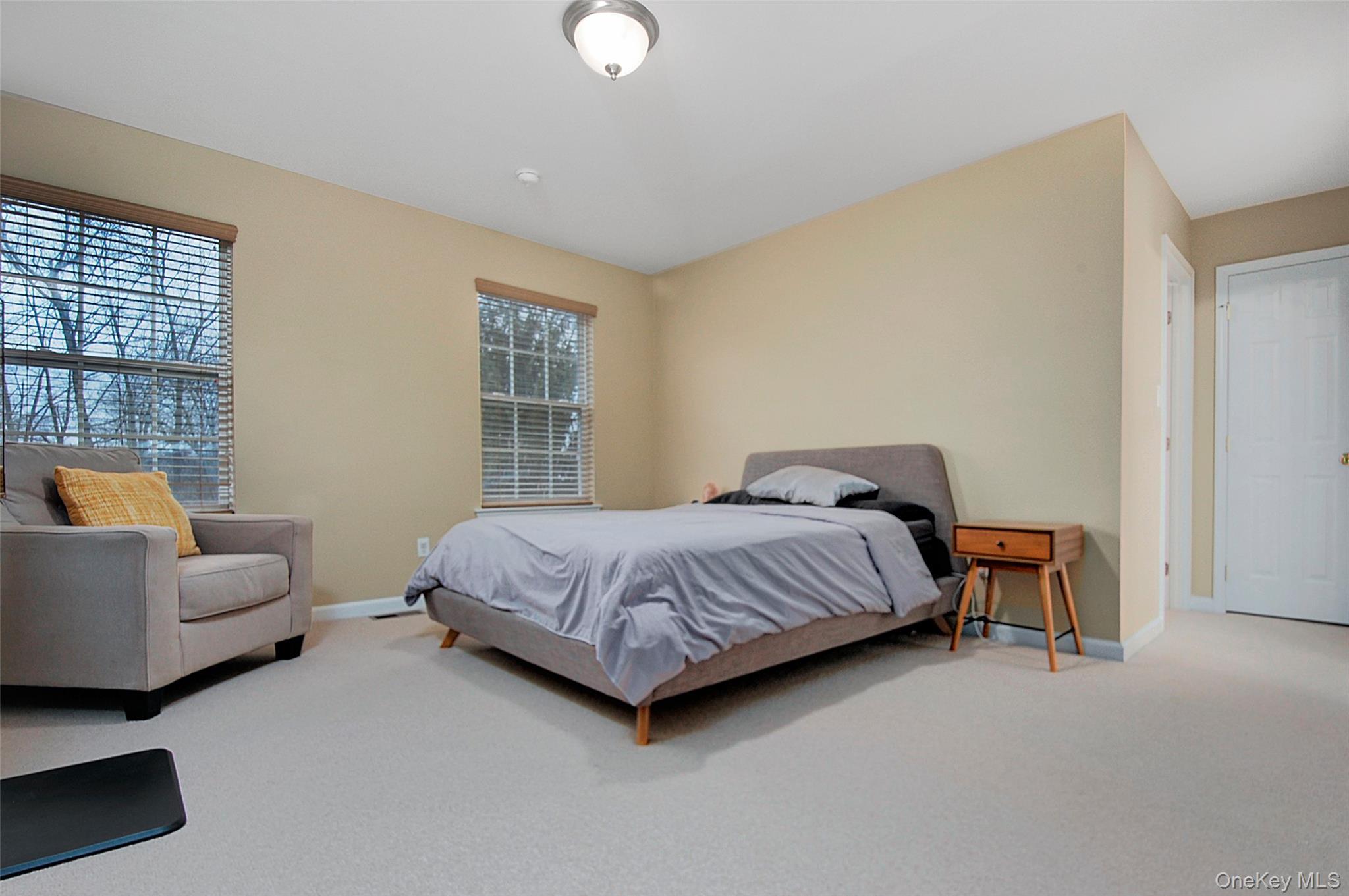 Condo Webster  Orange County, NY 10950, MLS-977154-28