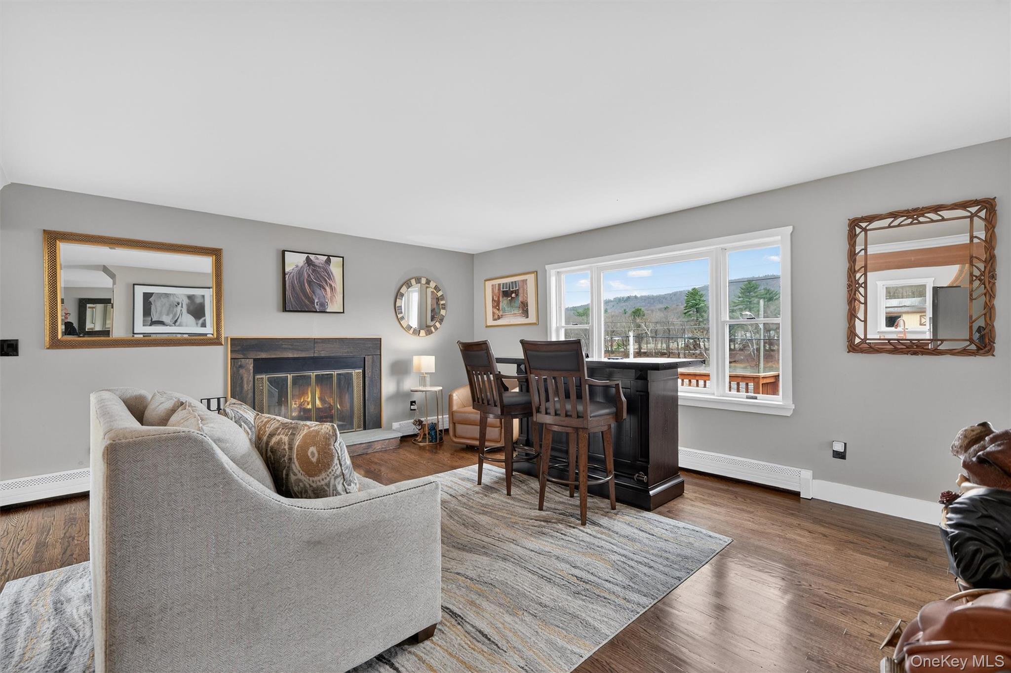 Single Family Sleepy Hollow  Orange County, NY 12771, MLS-977158-11