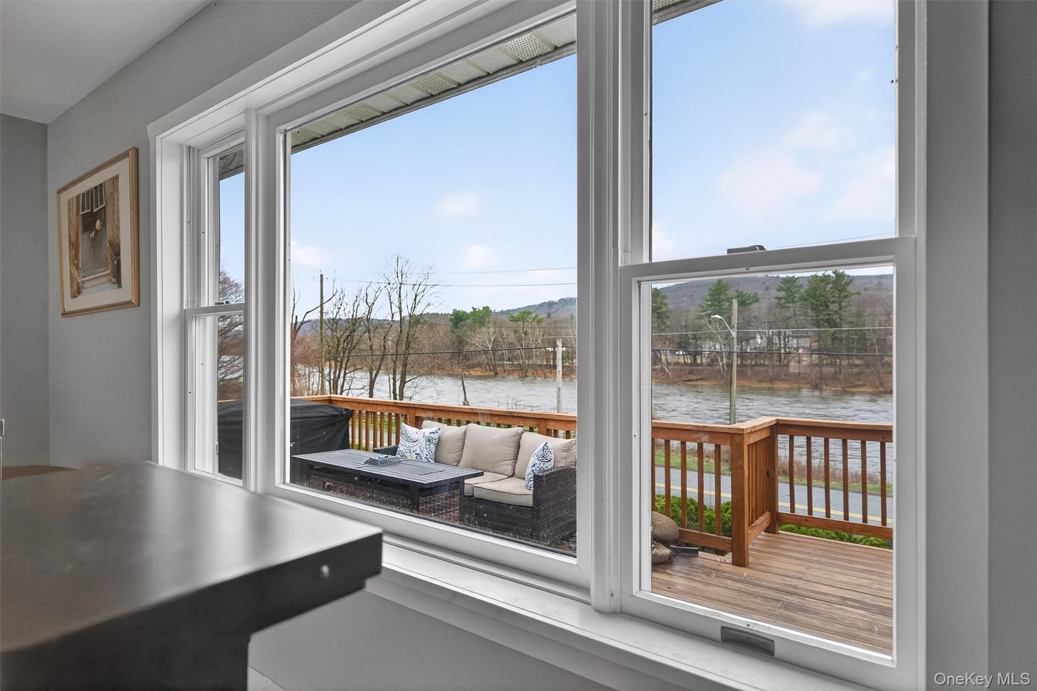 Single Family Sleepy Hollow  Orange County, NY 12771, MLS-977158-14