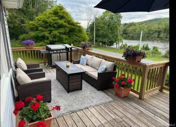 Single Family Sleepy Hollow  Orange County, NY 12771, MLS-977158-28