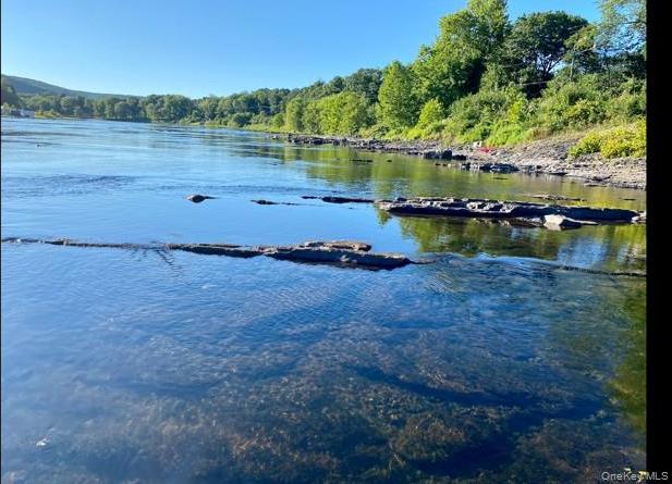 Single Family Sleepy Hollow  Orange County, NY 12771, MLS-977158-46