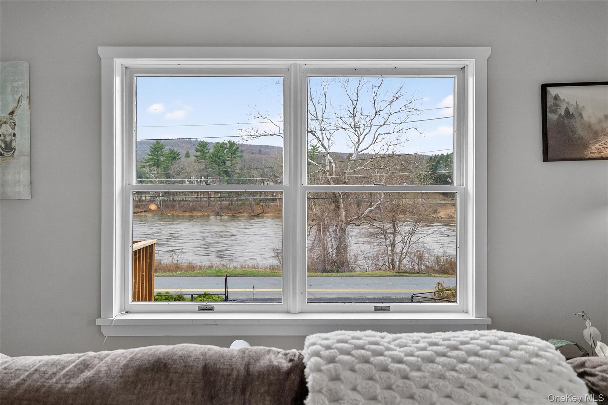 Single Family Sleepy Hollow  Orange County, NY 12771, MLS-977158-7