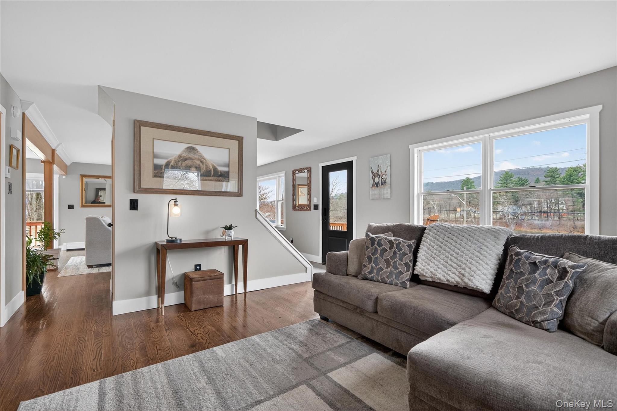 Single Family Sleepy Hollow  Orange County, NY 12771, MLS-977158-8