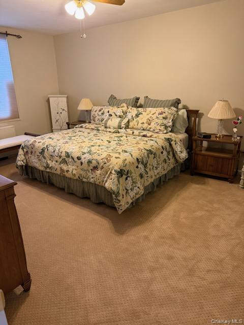 Coop Corporal Kennedy  Queens, NY 11360, MLS-977177-10