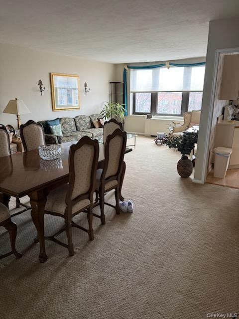 Coop Corporal Kennedy  Queens, NY 11360, MLS-977177-3