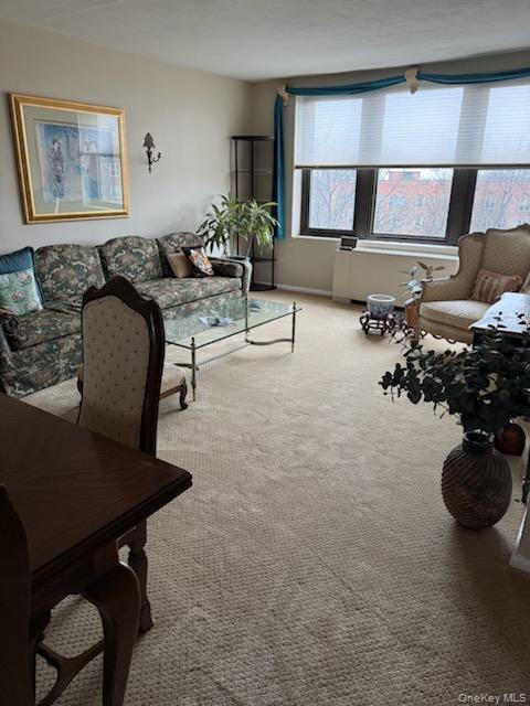 Coop Corporal Kennedy  Queens, NY 11360, MLS-977177-4