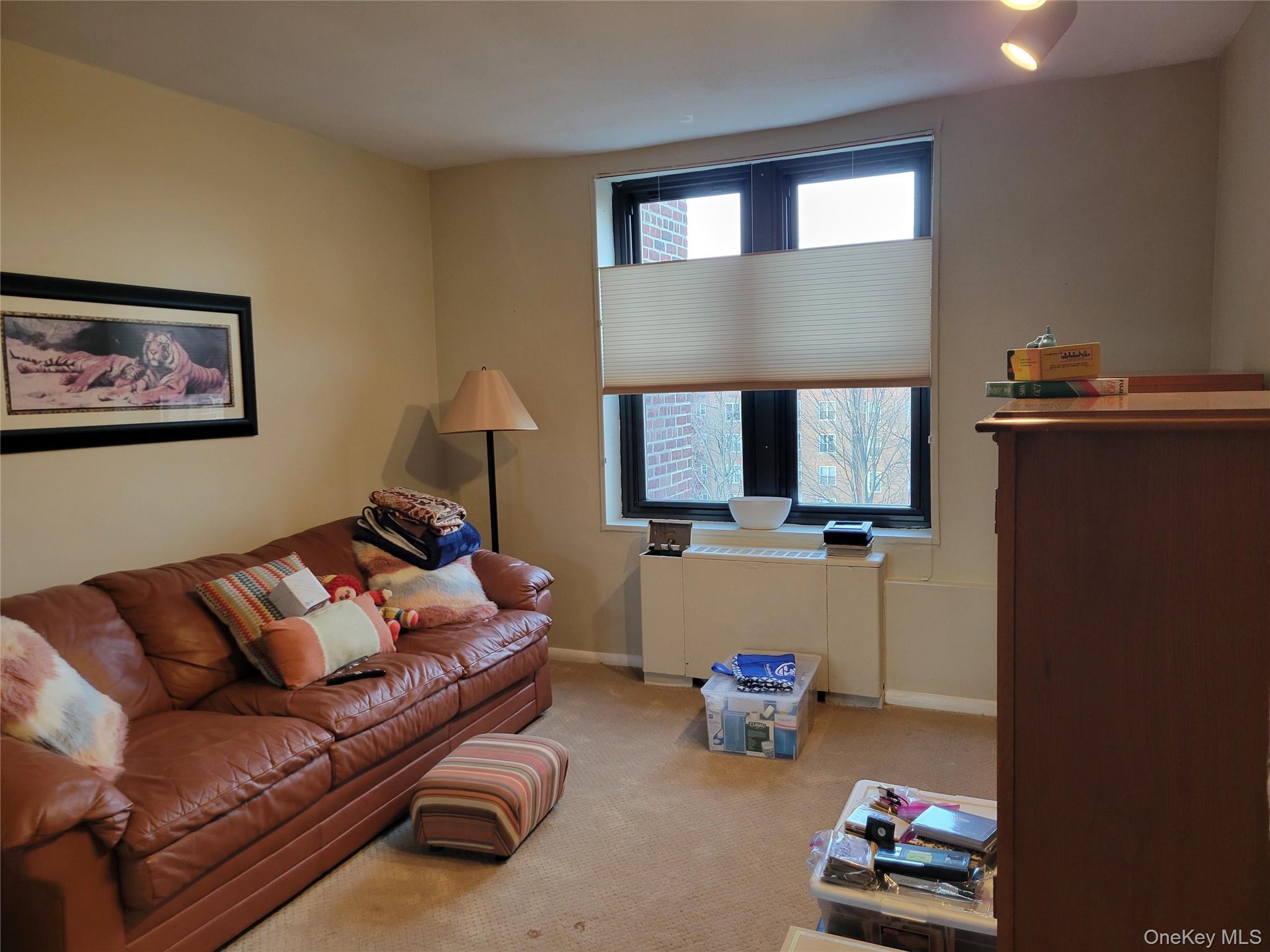 Coop Corporal Kennedy  Queens, NY 11360, MLS-977177-8