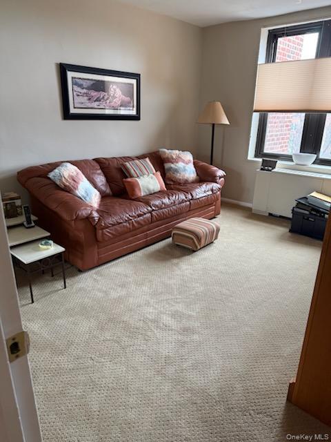 Coop Corporal Kennedy  Queens, NY 11360, MLS-977177-9