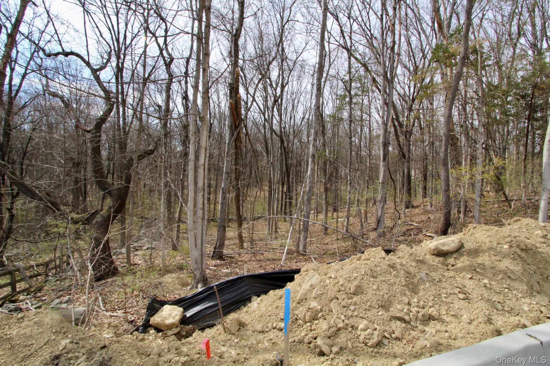 Single Family Lindenwood  Orange County, NY 12550, MLS-977185-14