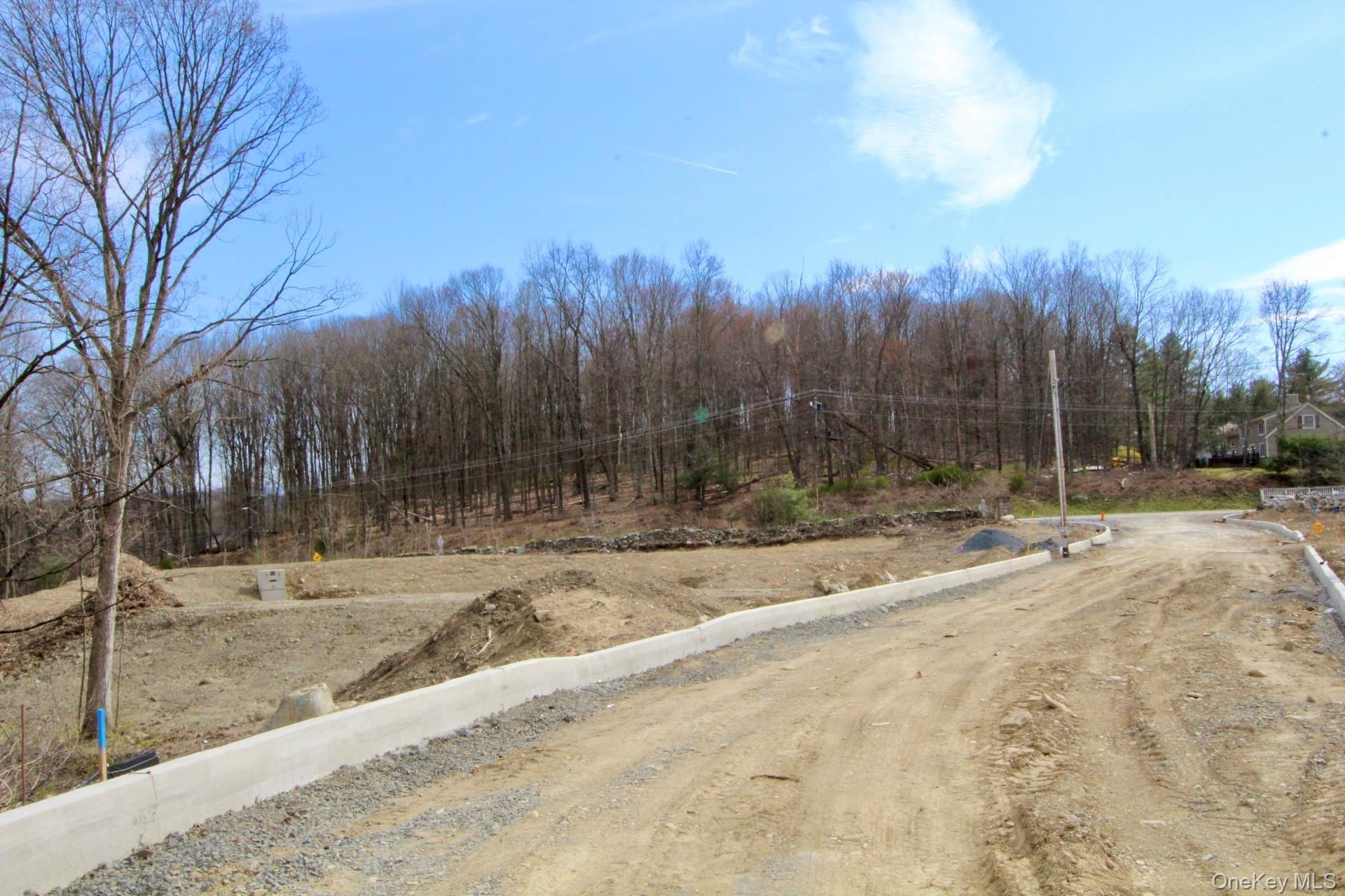 Single Family Lindenwood  Orange County, NY 12550, MLS-977185-19