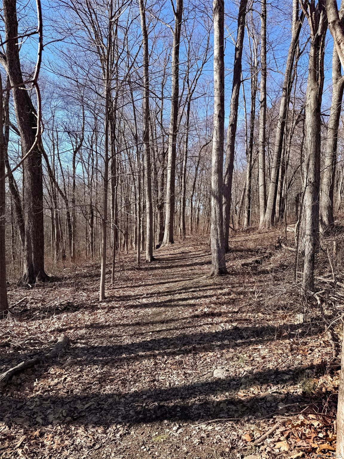 Single Family Maloney Road  Dutchess County, NY 12590, MLS-977212-24
