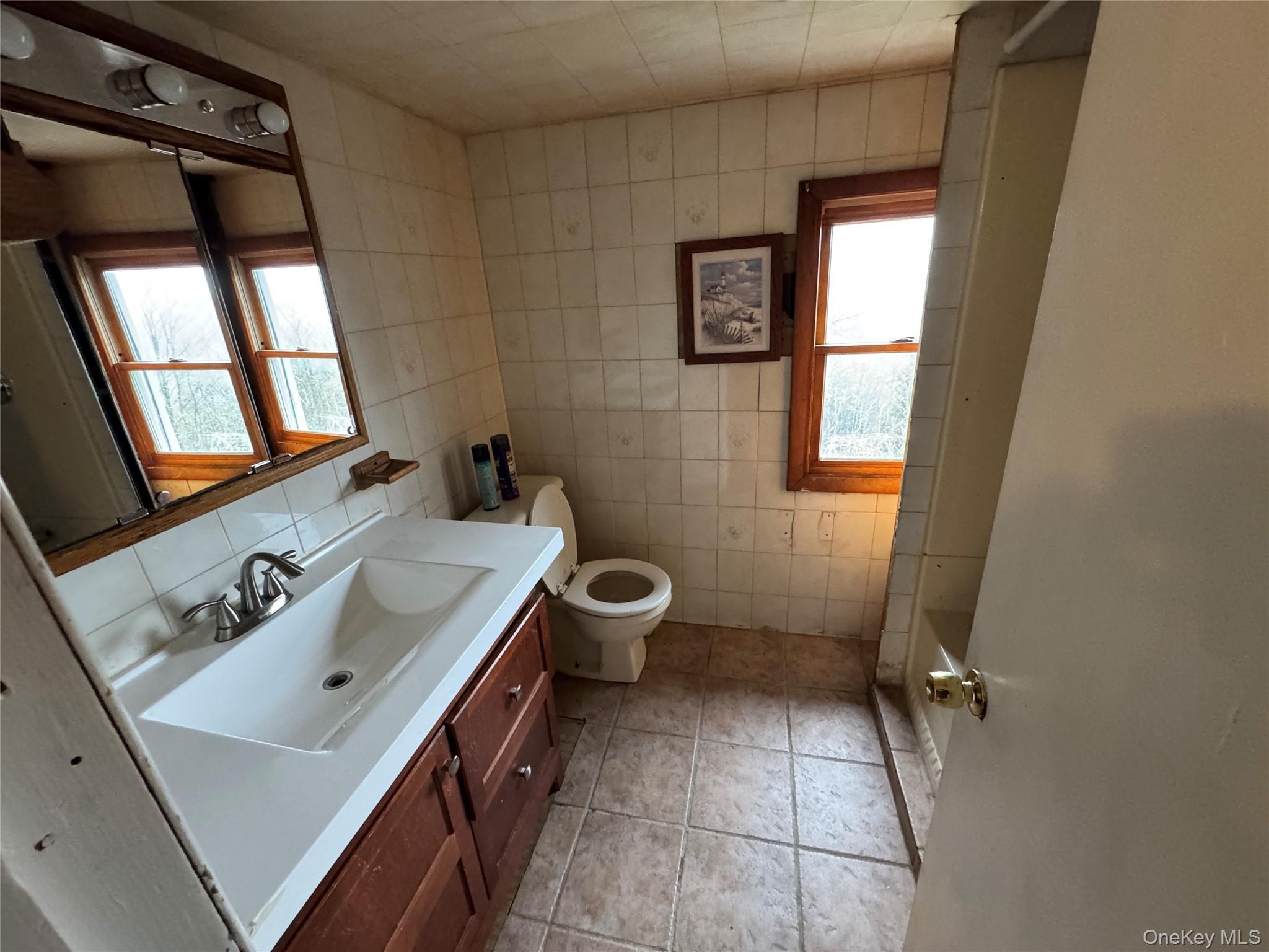 Single Family White Roe Lake Road  Sullivan County, NY 12758, MLS-977228-18