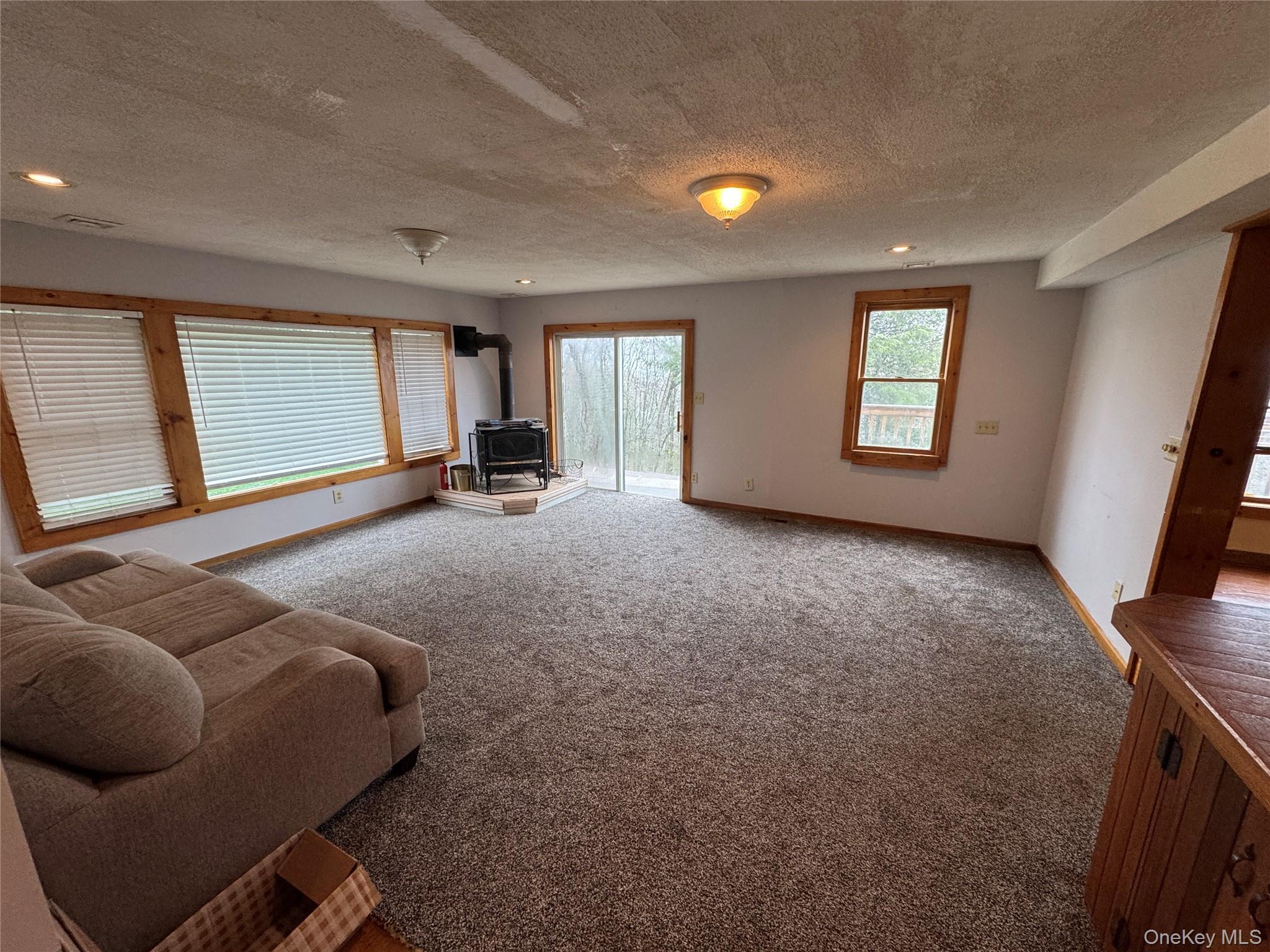 Single Family White Roe Lake Road  Sullivan County, NY 12758, MLS-977228-24