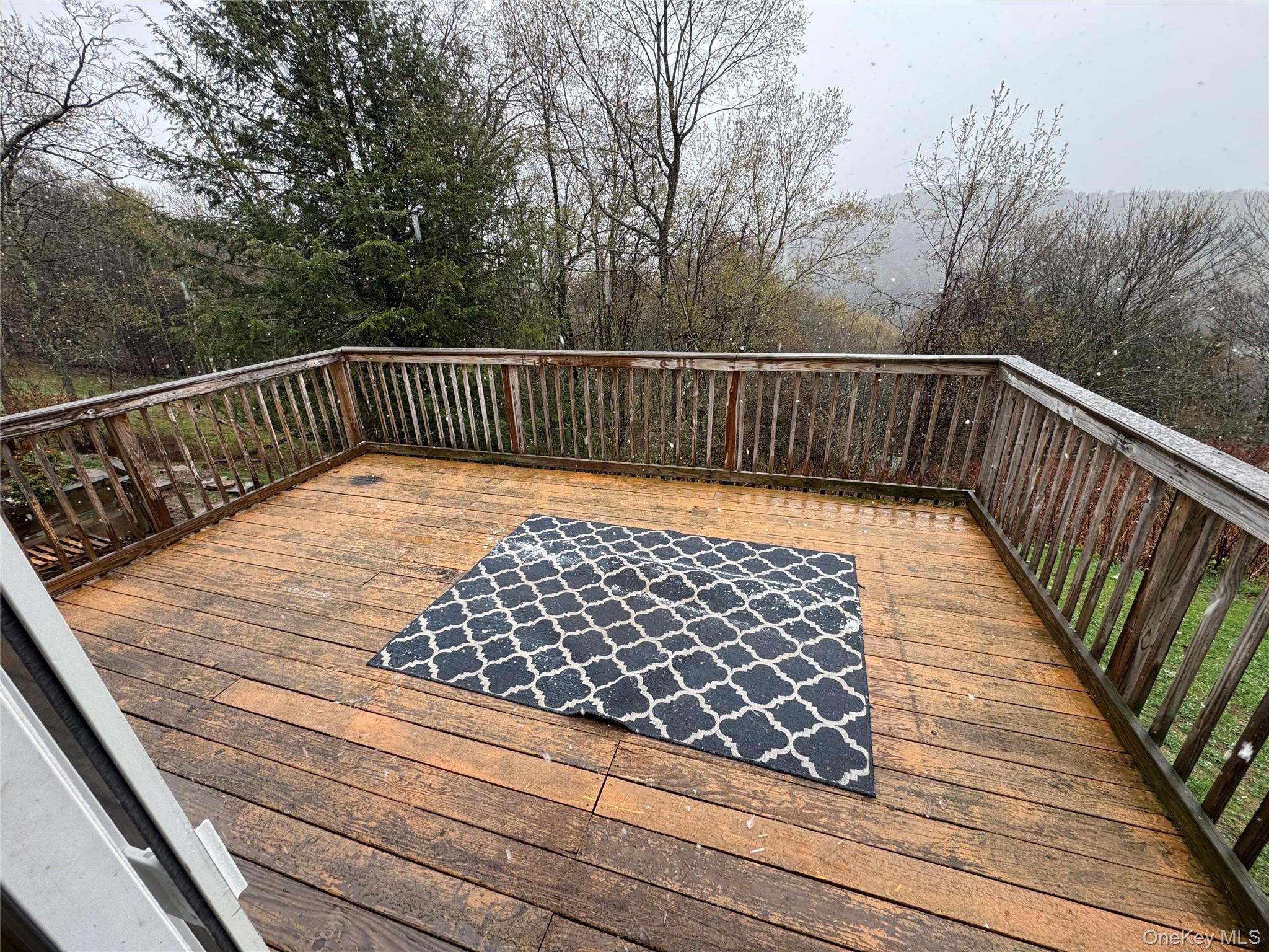 Single Family White Roe Lake Road  Sullivan County, NY 12758, MLS-977228-27