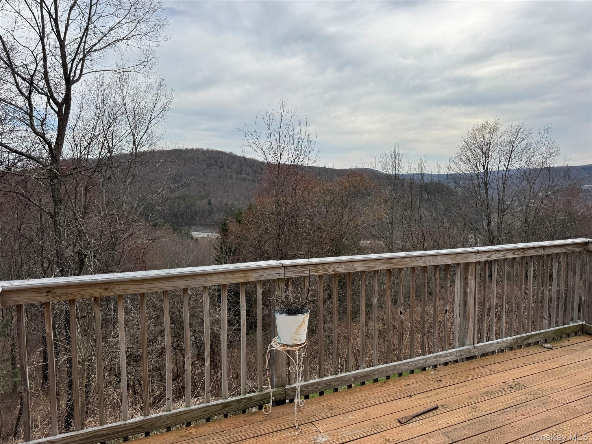 Single Family White Roe Lake Road  Sullivan County, NY 12758, MLS-977228-29