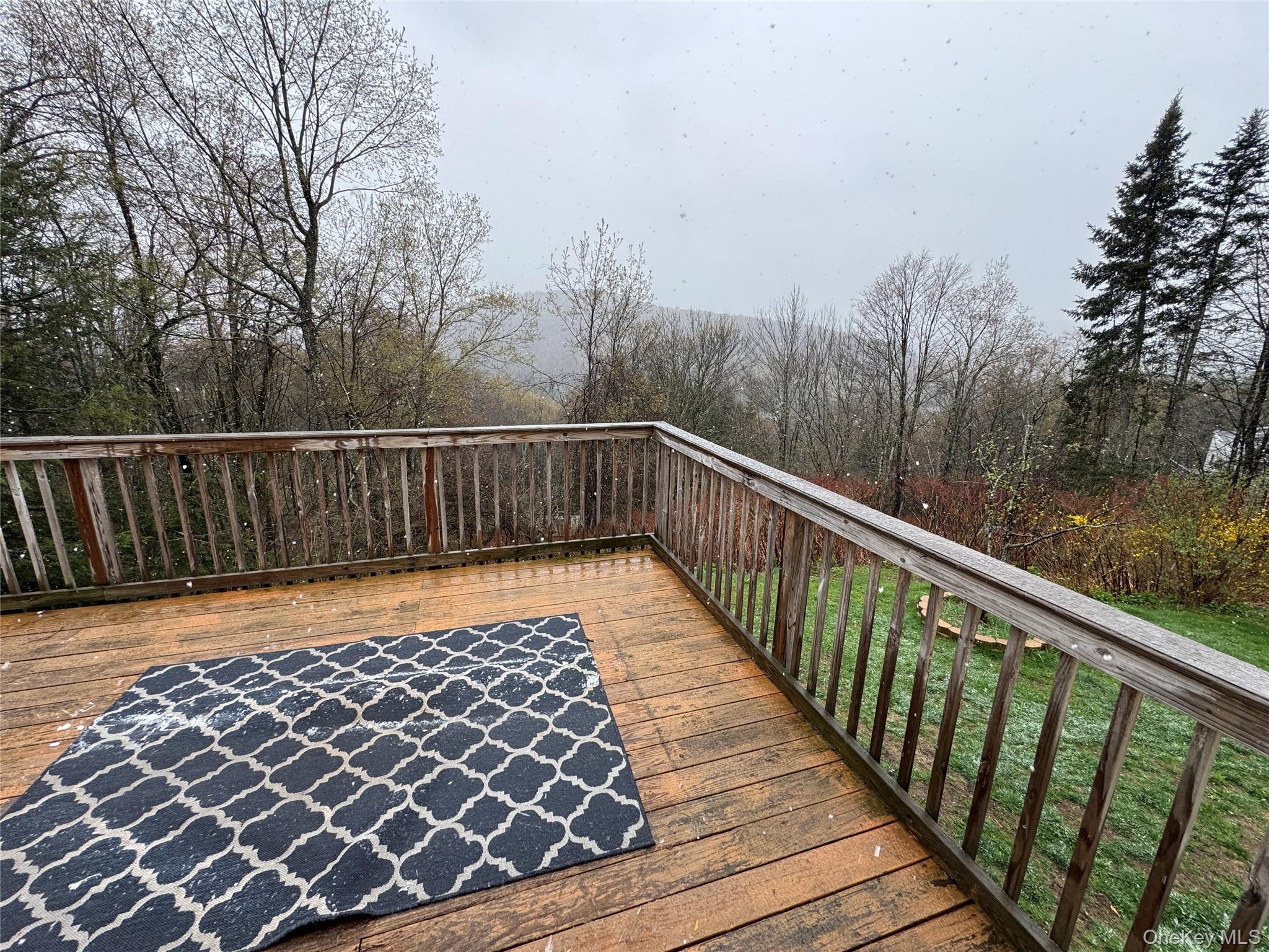 Single Family White Roe Lake Road  Sullivan County, NY 12758, MLS-977228-30