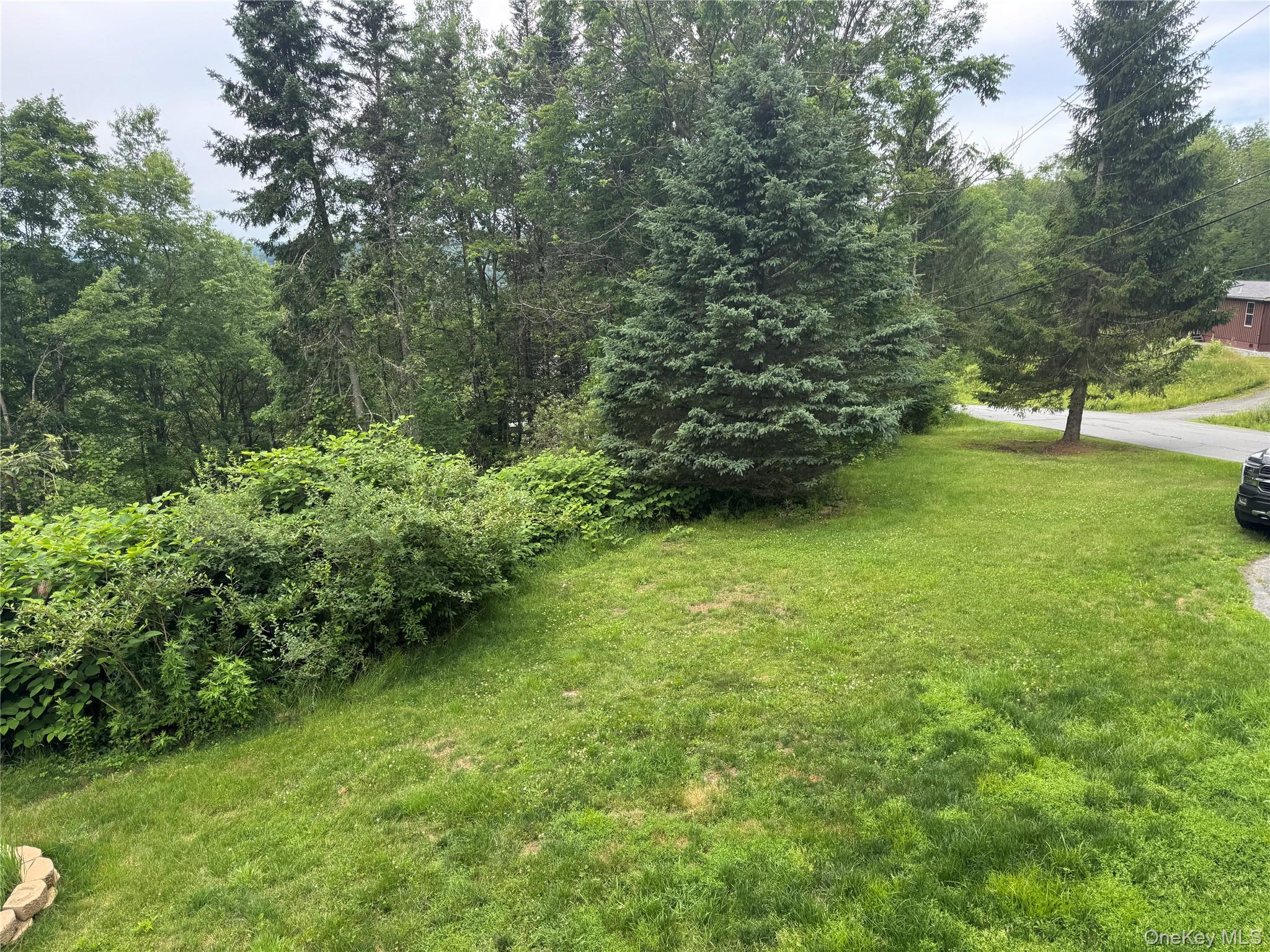 Single Family White Roe Lake Road  Sullivan County, NY 12758, MLS-977228-6