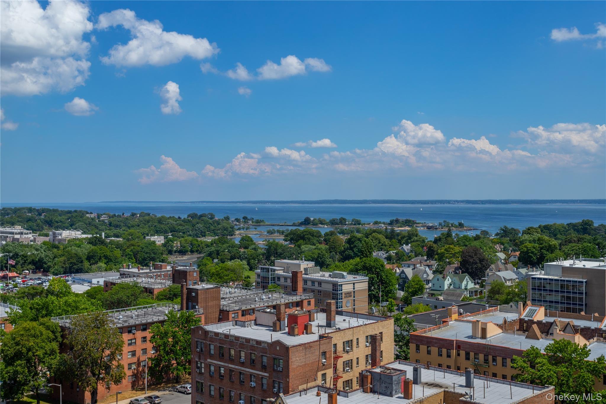 Coop New Roc City  Westchester County, NY 10801, MLS-977259-33