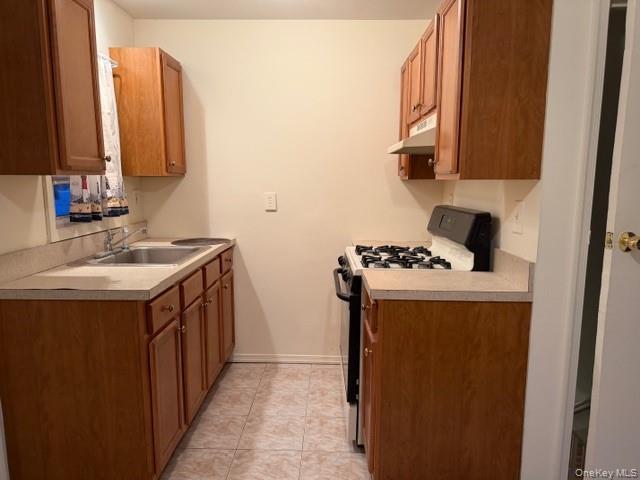 Single Family Totten  Nassau County, NY 11714, MLS-977263-8