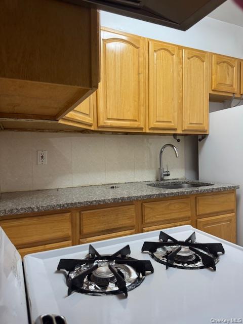 Coop Vietor  Queens, NY 11373, MLS-977298-7