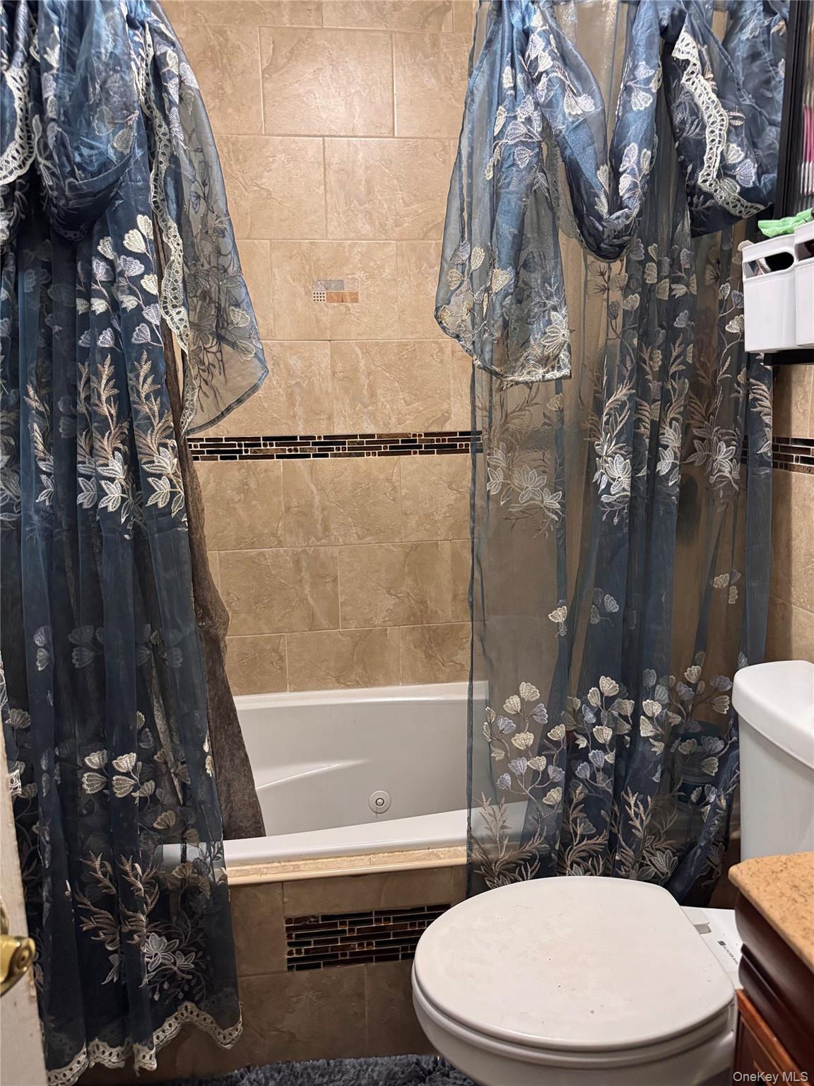 Single Family Alecia  Queens, NY 11413, MLS-977304-9