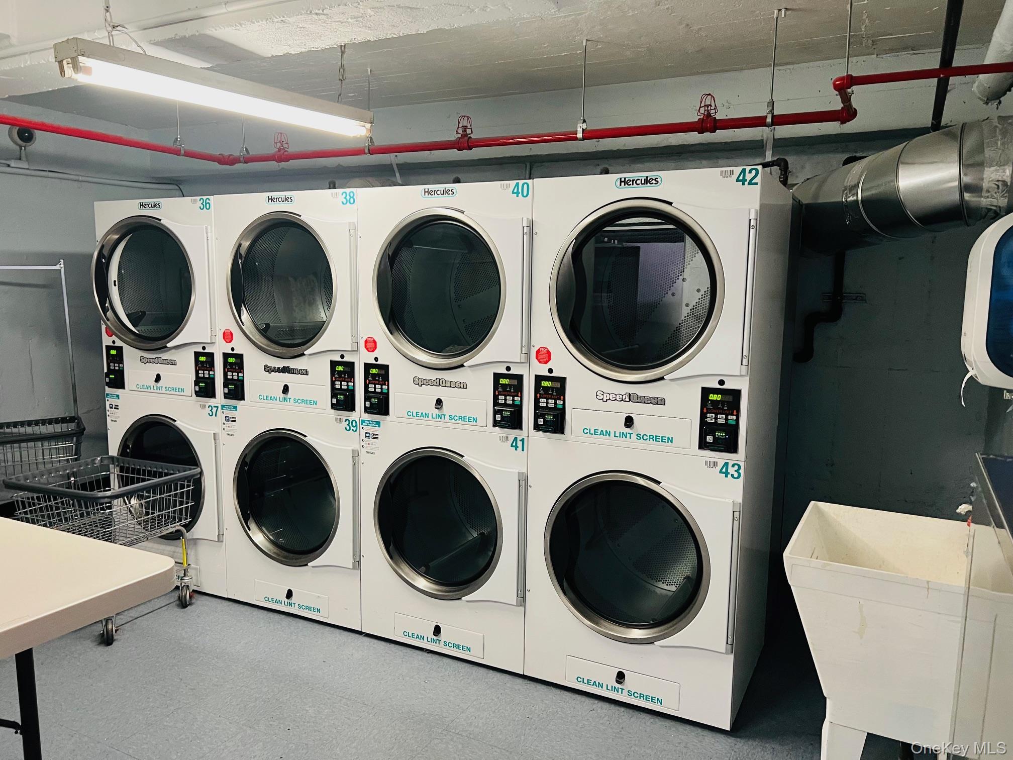 Coop Springfield  Queens, NY 11427, MLS-977308-12