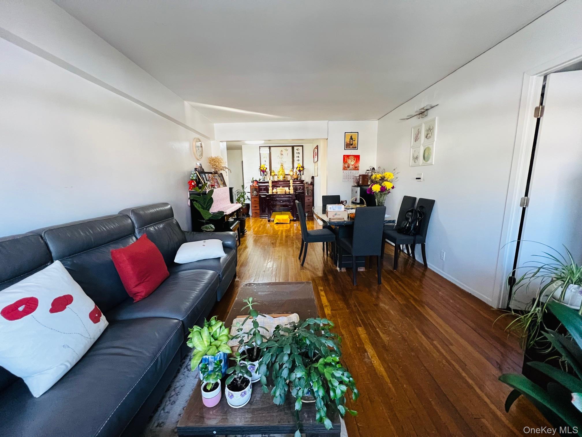 Coop Springfield  Queens, NY 11427, MLS-977308-2