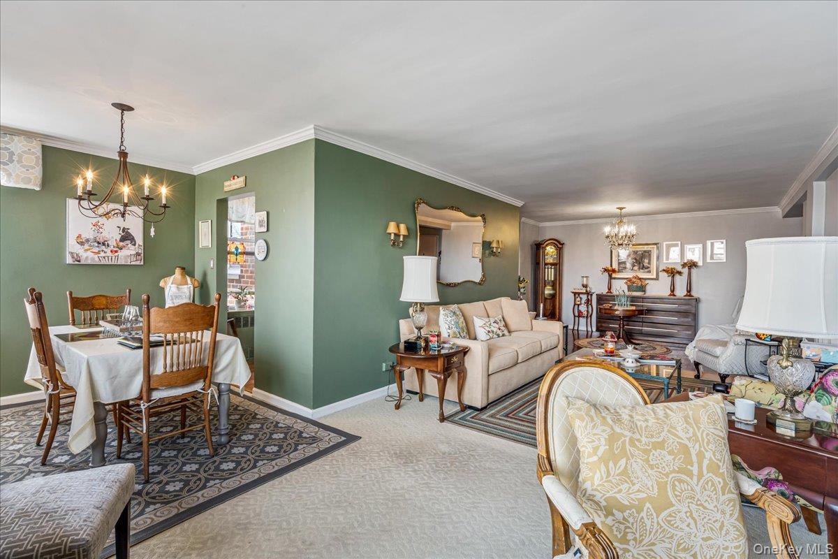 Coop 211th  Queens, NY 11360, MLS-977452-6