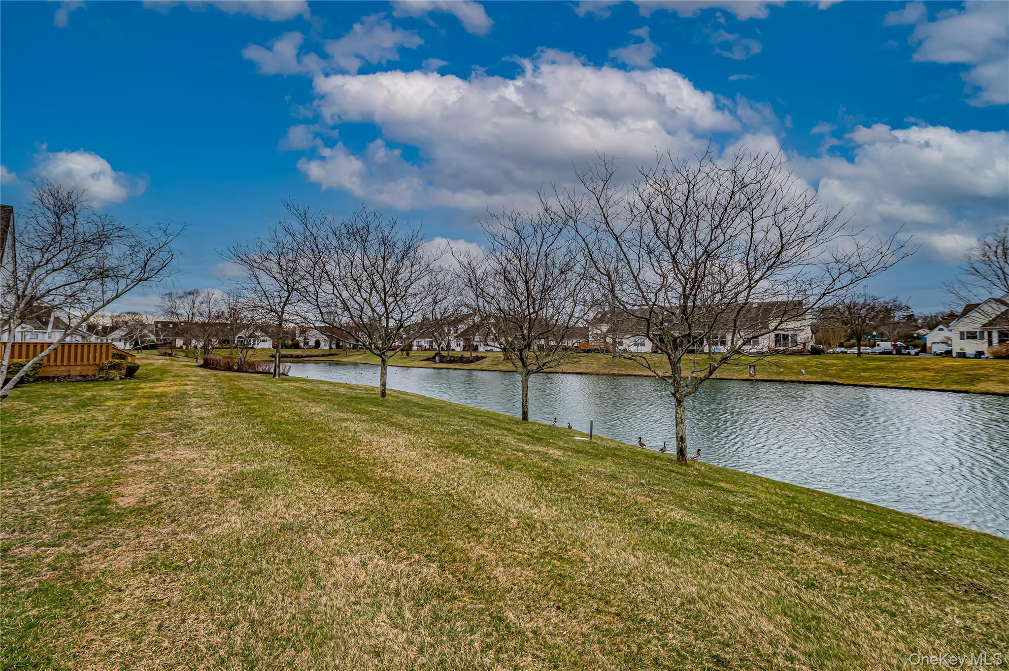 Condo Eve Ann  Suffolk County, NY 11776, MLS-977472-10