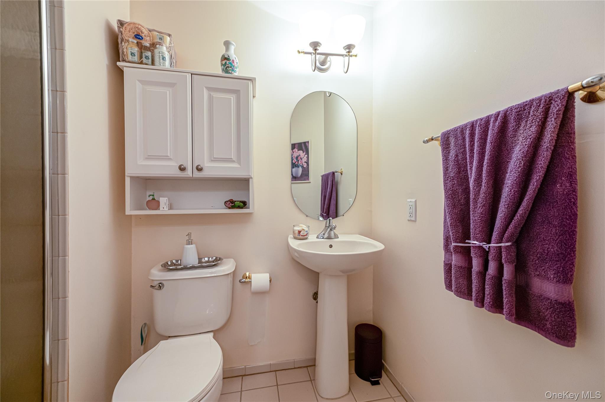 Condo Eve Ann  Suffolk County, NY 11776, MLS-977472-17