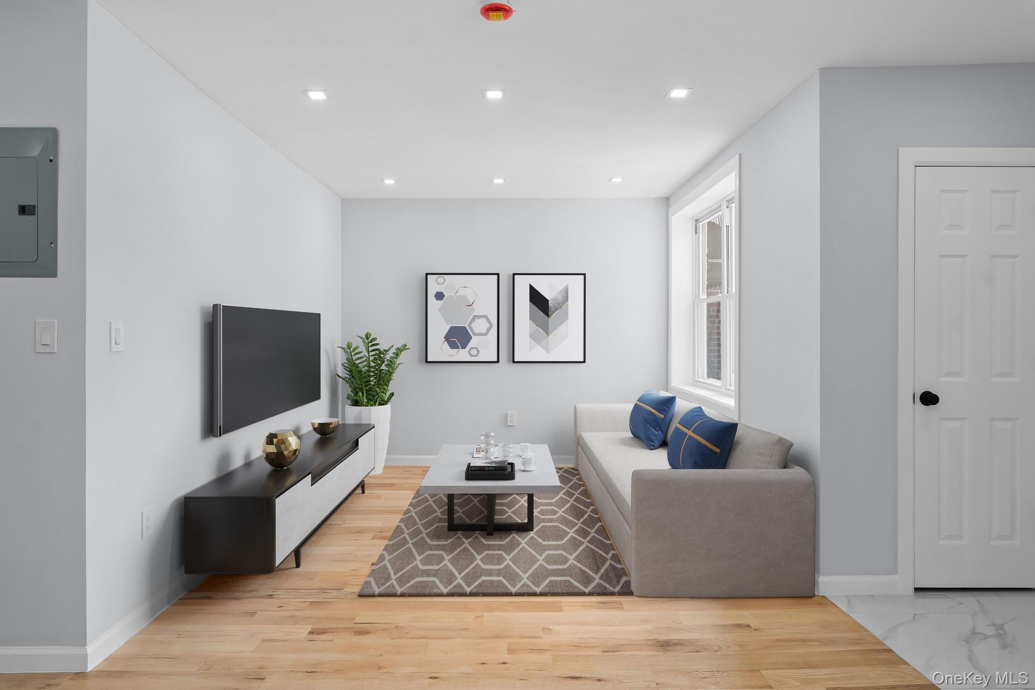 Single Family 52nd  Brooklyn, NY 11234, MLS-977530-2