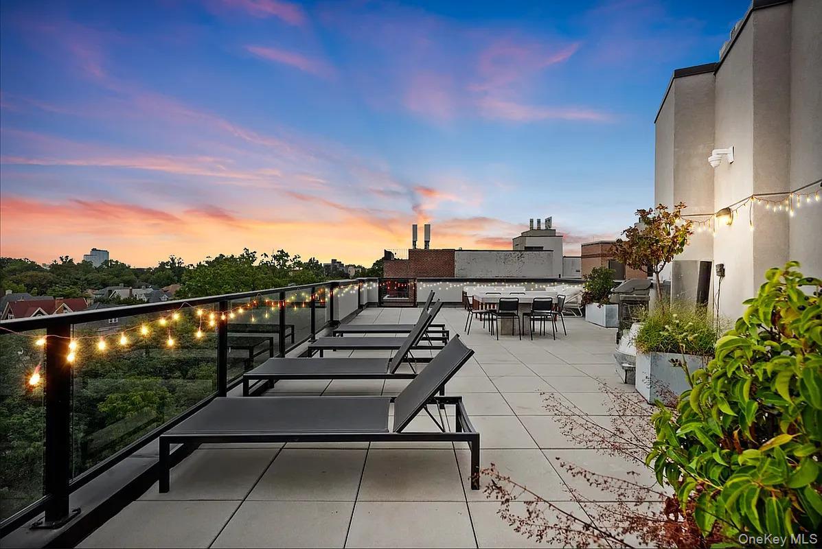 Condo Newkirk  Brooklyn, NY 11226, MLS-977563-11