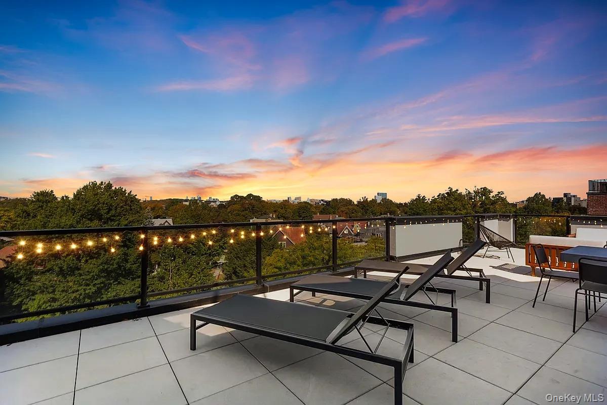 Condo Newkirk  Brooklyn, NY 11226, MLS-977563-12