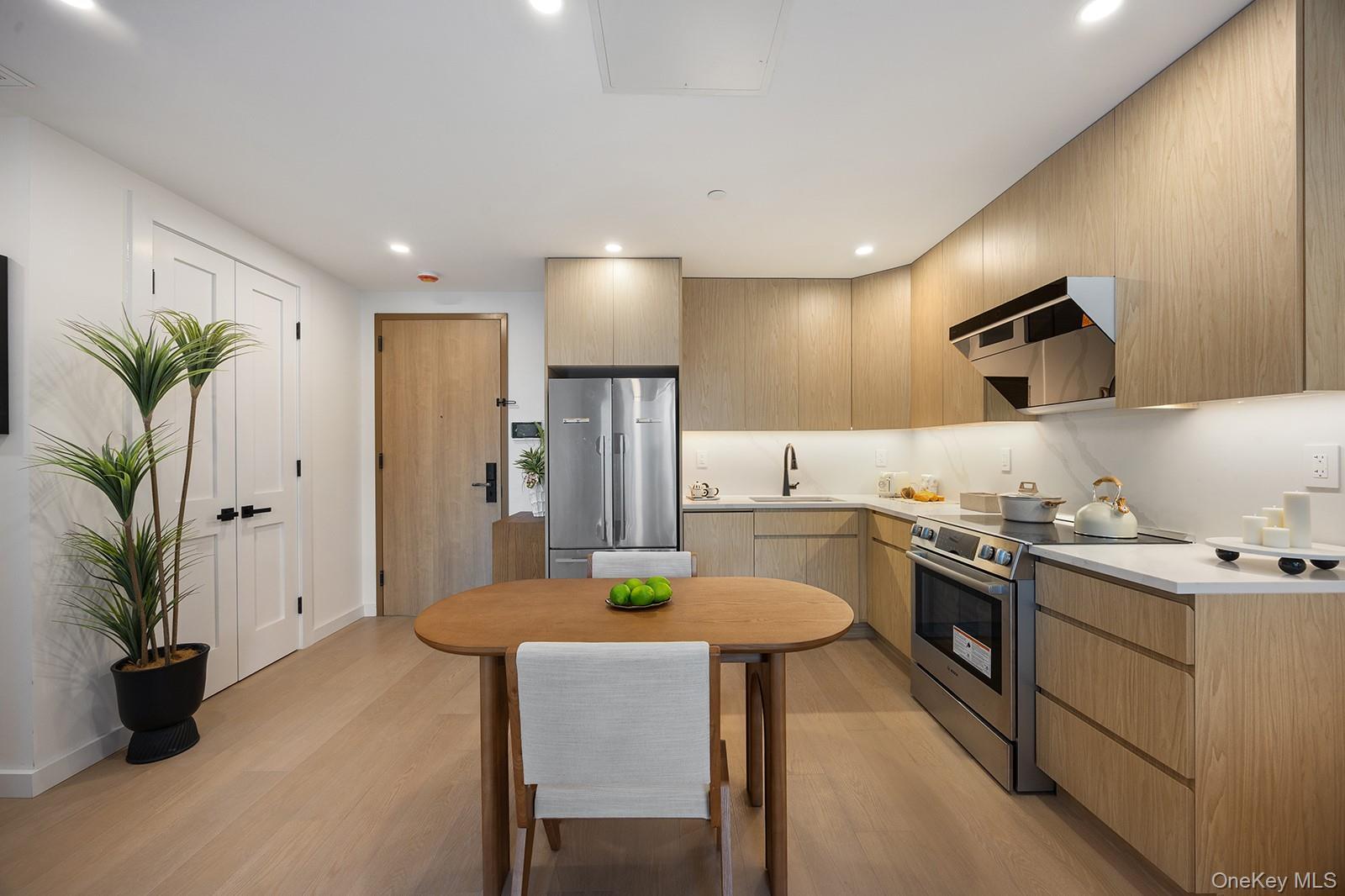 Condo 146th Queens, NY 11354, MLS-977626-6