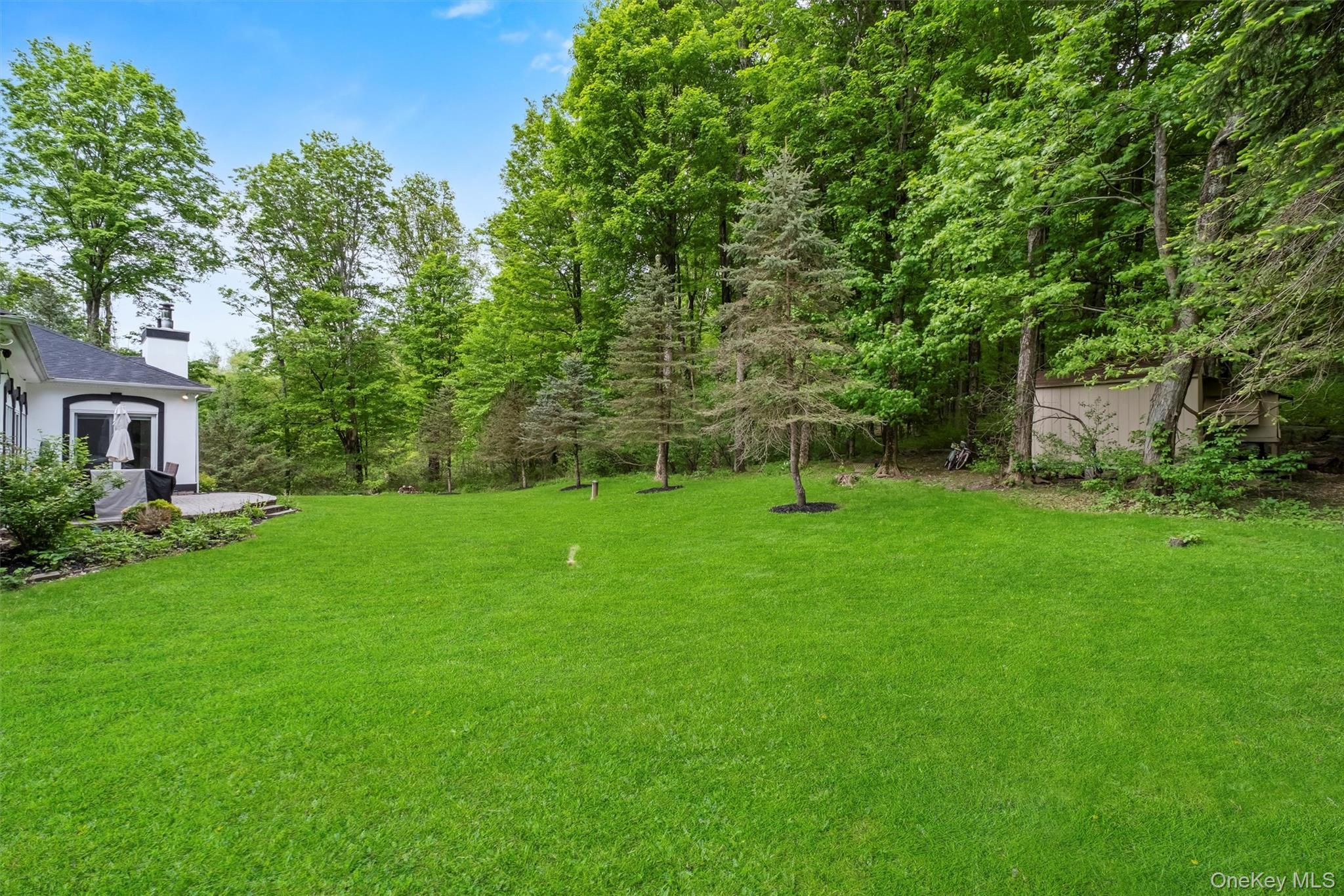 Single Family Carol  Dutchess County, NY 12570, MLS-977692-41