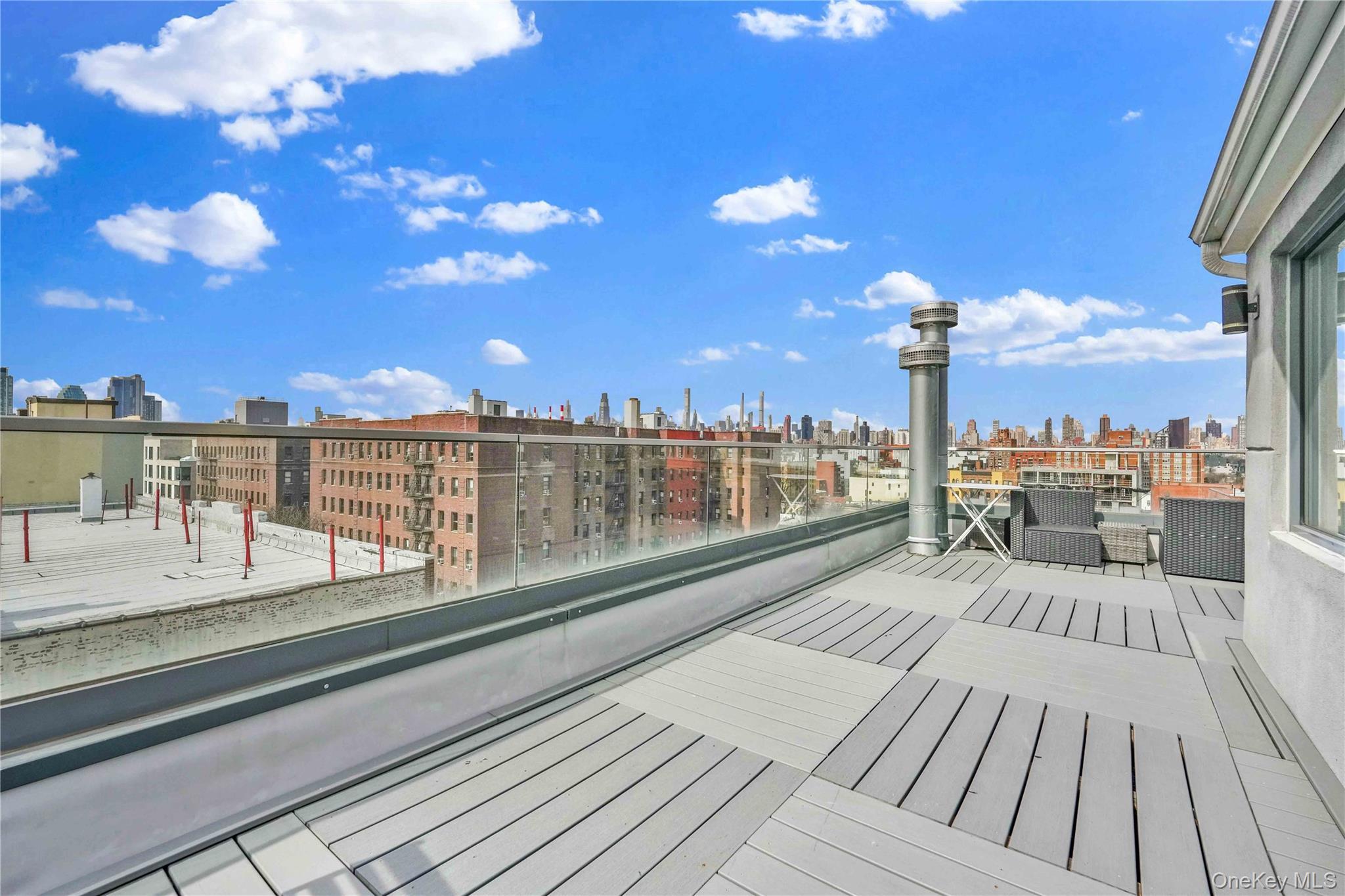 Condo 29th Queens, NY 11106, MLS-977713-14